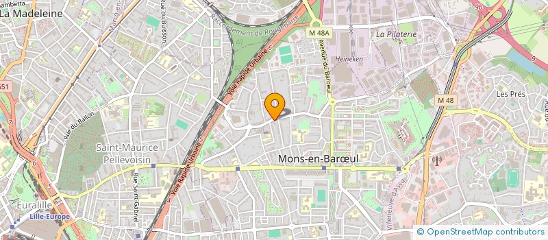 localisation de l'entreprise FOODISTORE  MONS-EN-BARUL