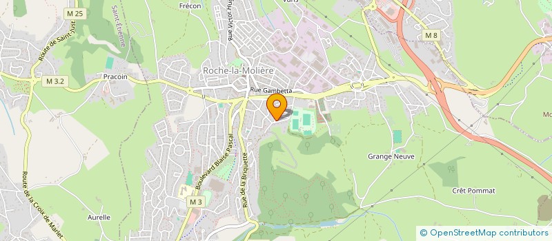 localisation de l'entreprise FOOTBALL CLUB DE BEAULIEU (F C B)  ROCHE-LA-MOLIERE