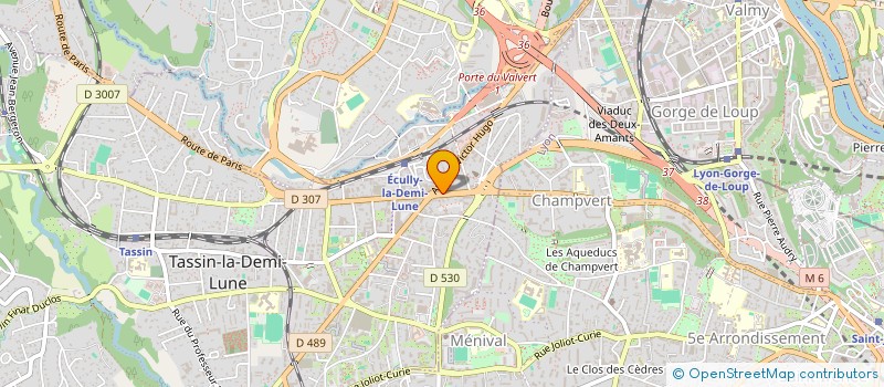 localisation de l'entreprise FOR BOGHE ESCALE  TASSIN-LA-DEMI-LUNE