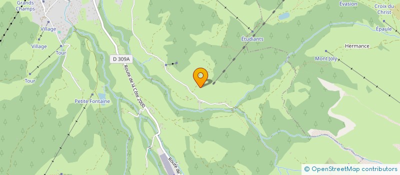 localisation de l'entreprise FORARBOIS  MEGEVE