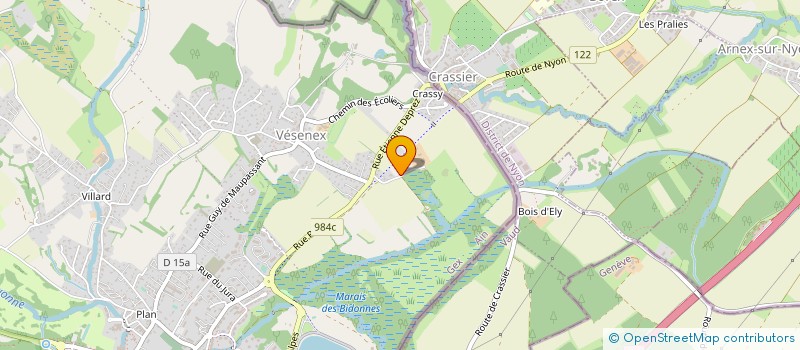 localisation de l'entreprise FORCE DE LA NATURE  DIVONNE-LES-BAINS