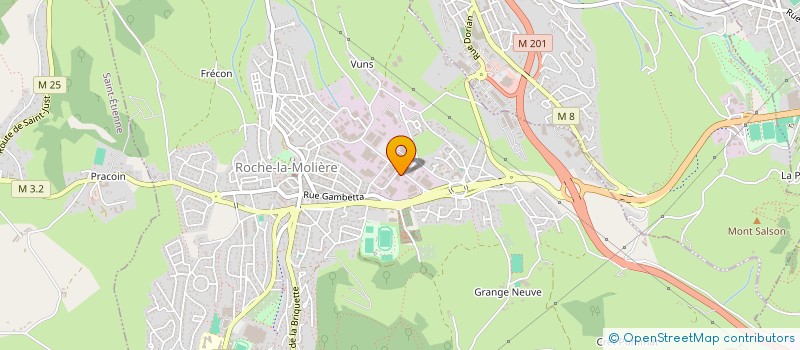 localisation de l'entreprise FORCES INDUSTRIELLES DES TERRITOIRES (FIT)  ROCHE-LA-MOLIERE