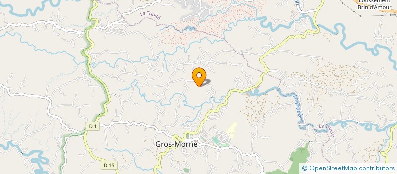 localisation de l'entreprise FORCES RASSEMBLEES  GROS-MORNE