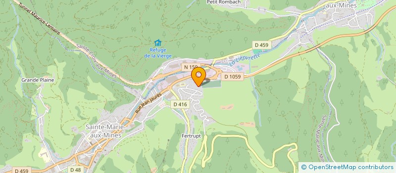 localisation de l'entreprise FORET DE L'INDIVISION PETITCOLAS à SAINTE-CROIX-AUX-MINES