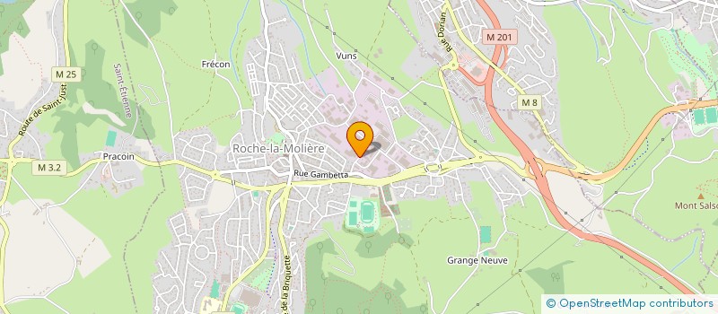 localisation de l'entreprise FORMA-TECH  ROCHE-LA-MOLIERE