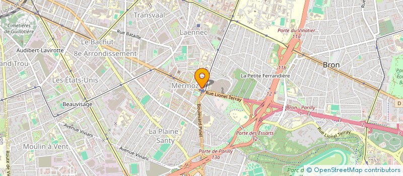 localisation de l'entreprise FORMATION ET INSERTION DEFICIENT VISUEL à LYON