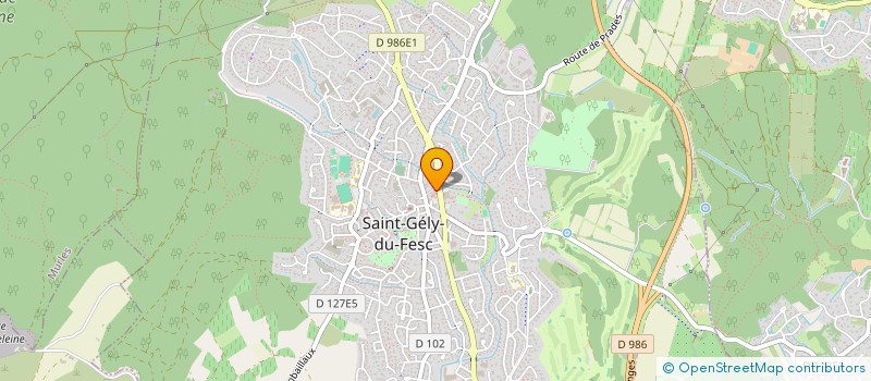 localisation de l'entreprise FORUM GESTION  SAINT-GELY-DU-FESC