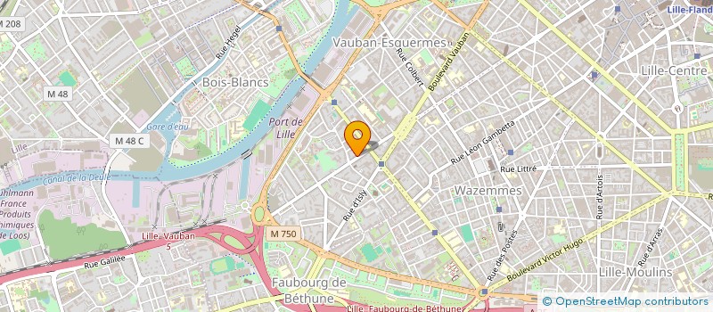 localisation de l'entreprise FOULON NICOLAS ET DEFOSSE CLAIRE à LILLE