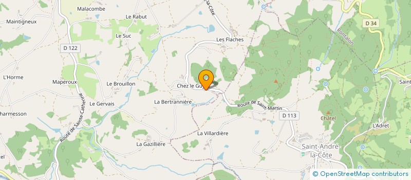 localisation de l'entreprise FOURNEL THIERRY  SAINT-MARTIN-EN-HAUT