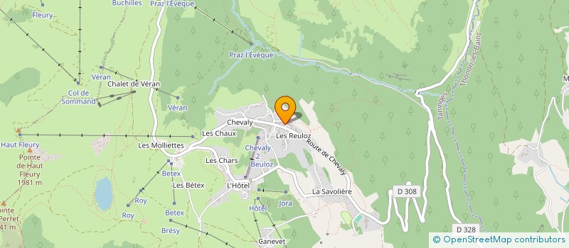 localisation de l'entreprise FOURNIER/RIVOLLET  TANINGES