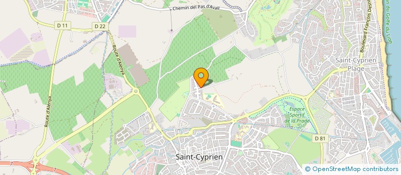 localisation de l'entreprise FOUSSAROU  SAINT-CYPRIEN
