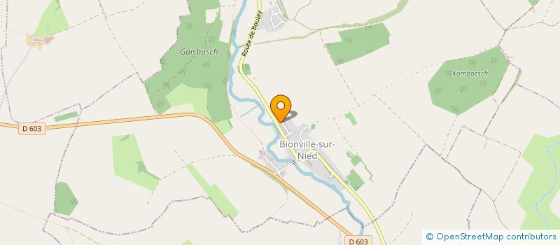 localisation de l'entreprise FOYER RURAL BIONVILLE MORLANNE  BIONVILLE-SUR-NIED