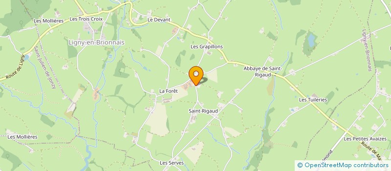 localisation de l'entreprise FOYER RURAL DE LIGNY-EN-BRIONNAIS  LIGNY-EN-BRIONNAIS