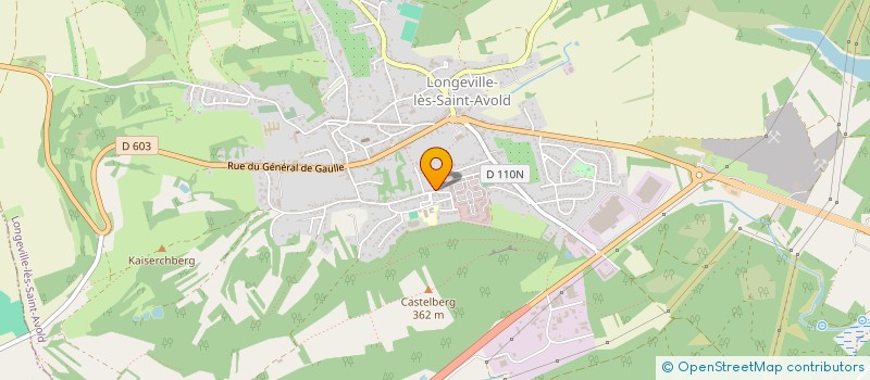 localisation de l'entreprise FOYER SOCIO EDUCATIF COLLEGE LE CASTEL à LONGEVILLE-LES-SAINT-AVOLD