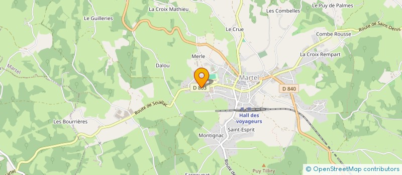 localisation de l'entreprise FOYER SOCIO EDUCATIF DE MARTEL  MARTEL