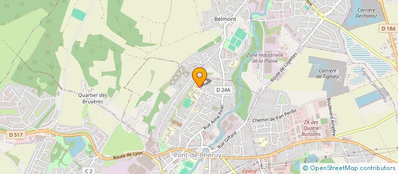 localisation de l'entreprise FOYER SOCIO-EDUCATIF DU COLLEGE D'ENSEIGNEMENT SECONDAIRE DE PONT DE CHERUY  PONT-DE-CHERUY