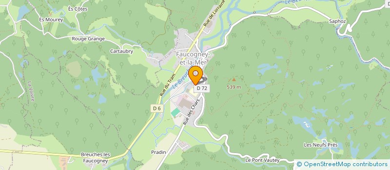 localisation de l'entreprise FOYER SOCIO-EDUCATIF DU COLLEGE DE FAUCOGNEY  FAUCOGNEY-ET-LA-MER