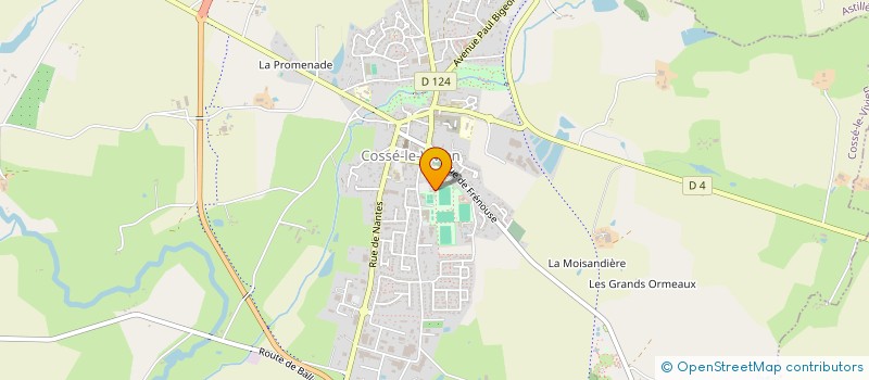 localisation de l'entreprise FOYER SOCIO-EDUCATIF DU COLLEGE DE L ORIETTE  COSSE-LE-VIVIEN