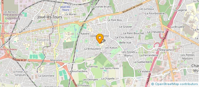 localisation de l'entreprise FOYER SOCIO-EDUCATIF DU COLLEGE VALLEE VIOLETTE  JOUE-LES-TOURS