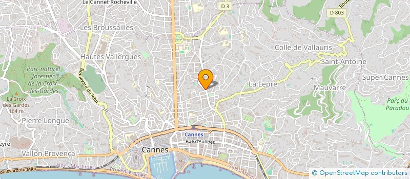 localisation de l'entreprise FOYER SOCIO EDUCATIF DU LYCEE J.FERRY à CANNES