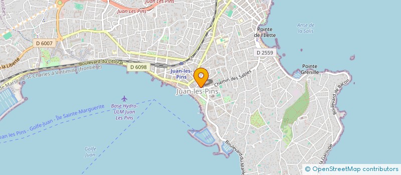 localisation de l'entreprise FRANC TRANSP GONDRAND IMMO FIN à ANTIBES