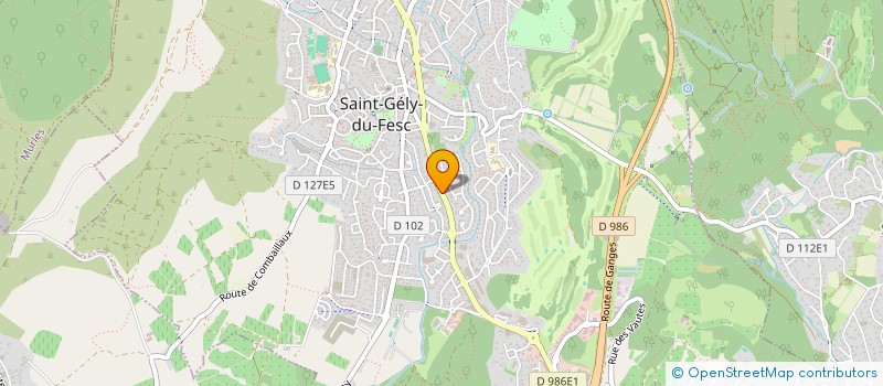 localisation de l'entreprise FRANCE CARDS GIFT INTERNATIONAL  SAINT-GELY-DU-FESC