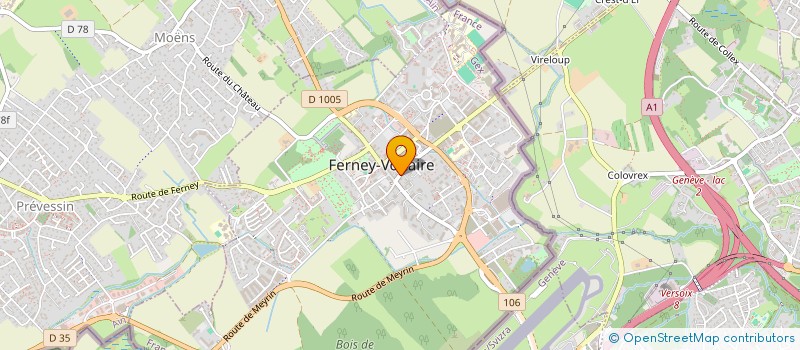 localisation de l'entreprise FRANCE CONSTRUCTION DESIGN à FERNEY-VOLTAIRE