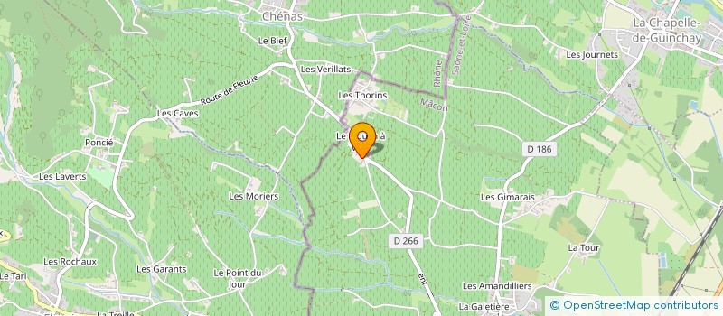 localisation de l'entreprise FRANCE EMBOUTEILLAGE à ROMANECHE-THORINS