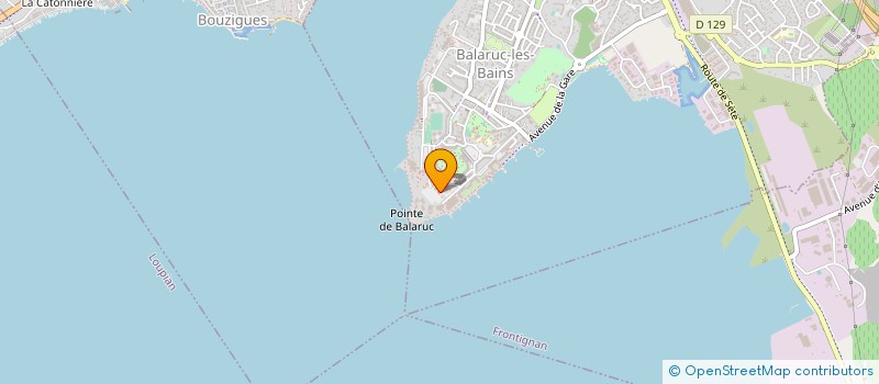 localisation de l'entreprise FRANCE TAMBOURIN LOUJOC  BALARUC-LES-BAINS