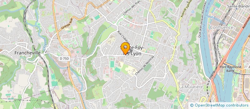 localisation de l'entreprise FRANCK CACERES CONSULTING à SAINTE-FOY-LES-LYON
