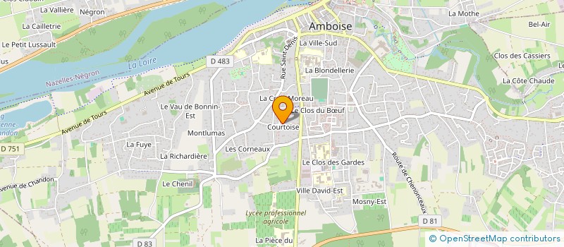 localisation de l'entreprise FRANCK JUNG INVEST  AMBOISE