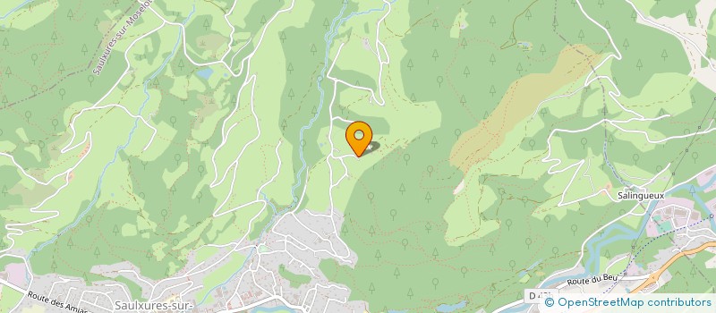 localisation de l'entreprise FRANCOIS - POIROT  SAULXURES-SUR-MOSELOTTE