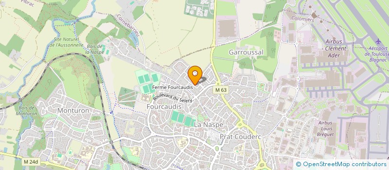 localisation de l'entreprise FRANSTEL CONSULTING  SAINT-PAUL-SUR-SAVE