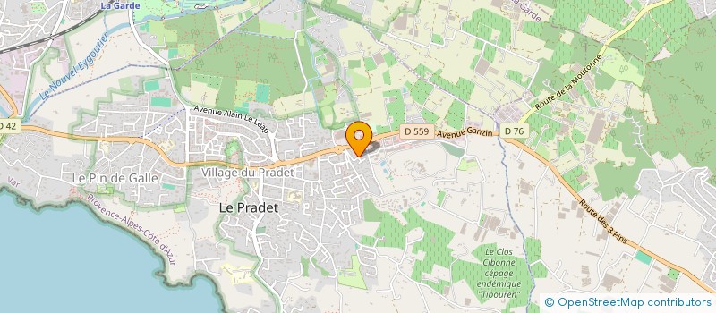localisation de l'entreprise FRD PEINTURE à LE PRADET