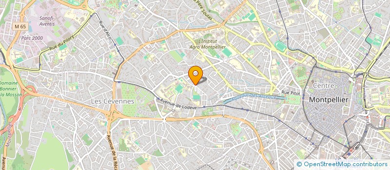 localisation de l'entreprise FREE BIRD à MONTPELLIER