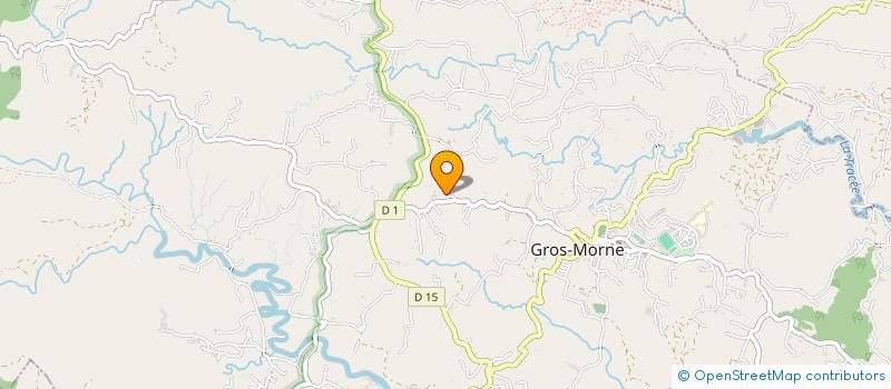 localisation de l'entreprise FREE DOM MQ à GROS-MORNE