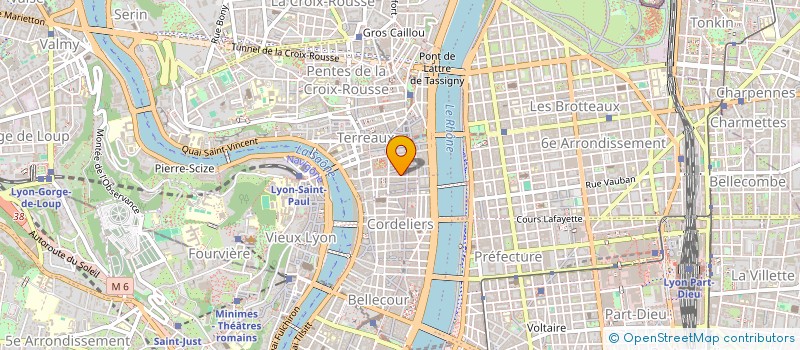 localisation de l'entreprise FRENCH ZHIMAN GLOBAL INDUSTRIAL GROUP à LYON