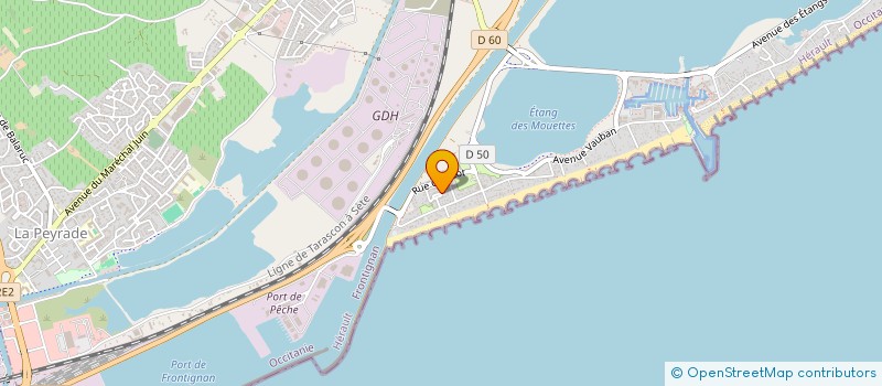 localisation de l'entreprise FRICHE MOBILE à FRONTIGNAN