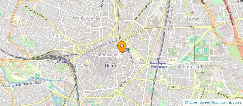 localisation de l'entreprise FROMAGES & CO à DIJON