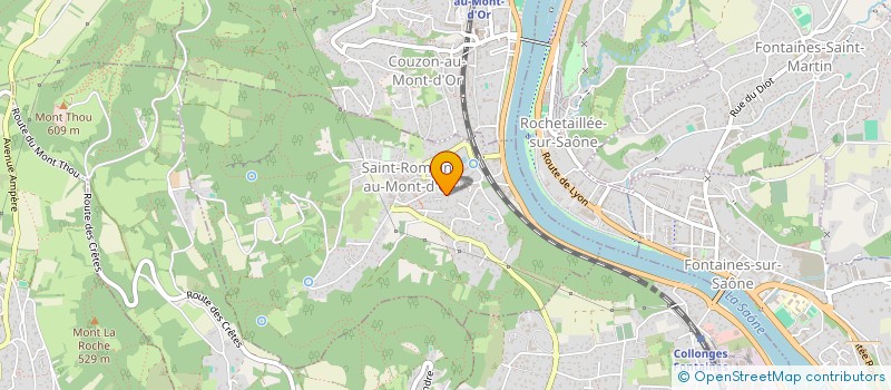 localisation de l'entreprise FSD  SAINT ROMAIN AU MONT D'OR