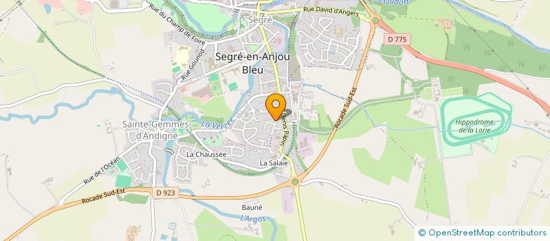 localisation de l'entreprise FSM RENOVATION à SEGRE-EN-ANJOU BLEU