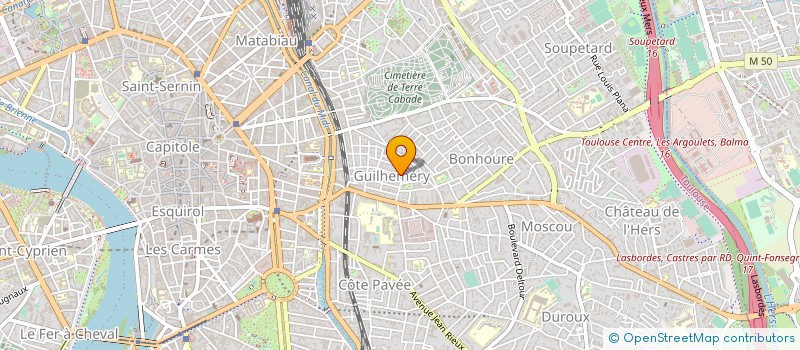 localisation de l'entreprise FSVG BUSINESS à TOULOUSE