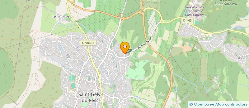 localisation de l'entreprise FTBI GROUPE à SAINT-GELY-DU-FESC