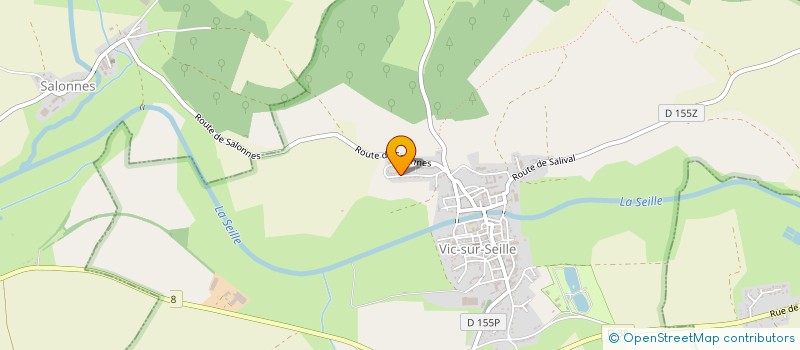 localisation de l'entreprise FTS STUDIO  VIC-SUR-SEILLE