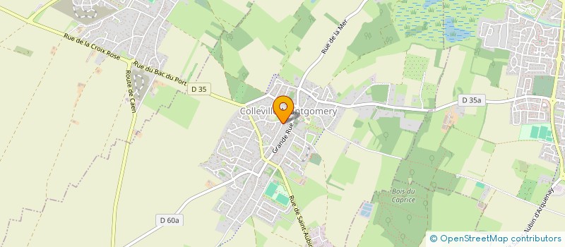 localisation de l'entreprise FTT  COLLEVILLE-MONTGOMERY