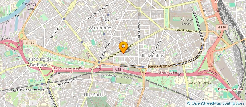 localisation de l'entreprise FUERZALEGRIA à LILLE