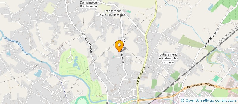 localisation de l'entreprise FURLANI & CO  MONTAUBAN