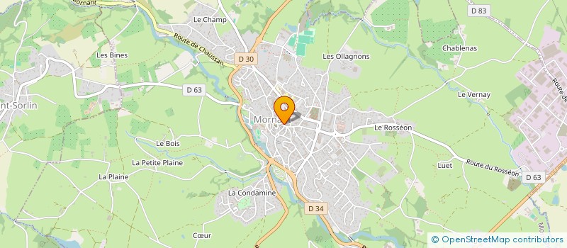 localisation de l'entreprise G.H.RYNKO FROMAGE  MORNANT