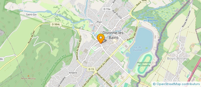 localisation de l'entreprise G-P SERVICES  DIVONNE-LES-BAINS