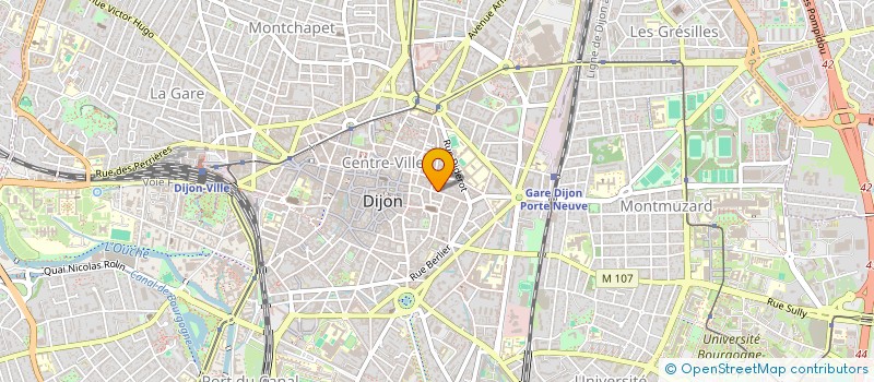localisation de l'entreprise G.RARE à DIJON
